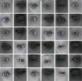 Eye tracking using low-cost USB and mobile phone cameras
