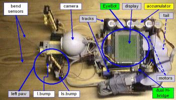 Mobile Robot Toy Cat